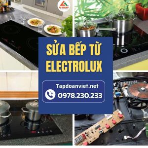 Sửa Bếp Từ Electrolux