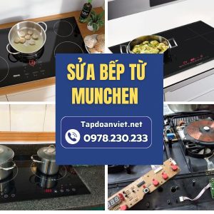 Sửa Bếp Từ Munchen