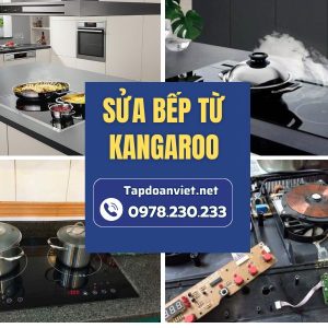 Sửa Bếp Từ Kangaroo
