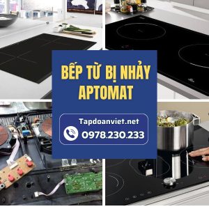 Bếp Từ Bị Nhảy Aptomat Copy