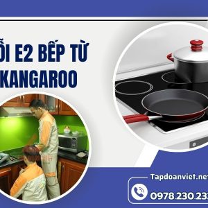 Lỗi E2 Bếp Từ Kangaroo