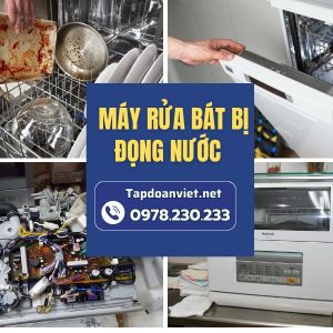 Máy Rửa Bát Bị đọng Nước