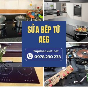 Sửa Bếp Từ Aeg