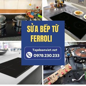Sửa Bếp Từ Ferroli