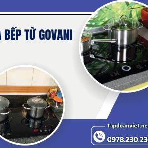 Sửa Bếp Từ Govani