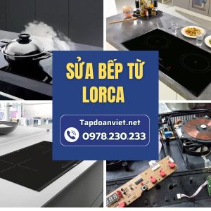 Sửa Bếp Từ Lorca