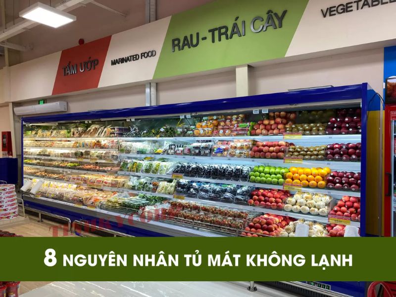 Tapdoanviet – Trung tâm sửa tủ mát tại Hà Nội uy tín