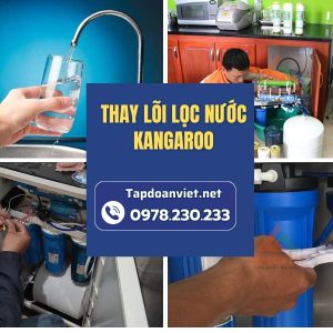 Dịch Vụ Thay Lõi Lọc Nước Kangaroo Tại Nhà Uy Tín, Chính Hãng, Giá Rẻ