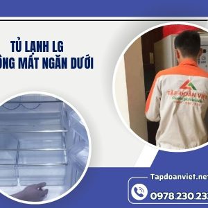 Tủ Lạnh Lg Không Mát Ngăn Dưới