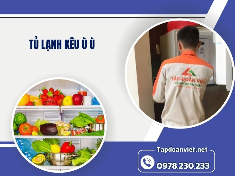 Địa chỉ sửa tủ lạnh kêu ù ù uy tín, giá ưu đãi