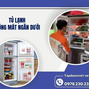 Tủ Lạnh Không Mát Ngăn Dưới